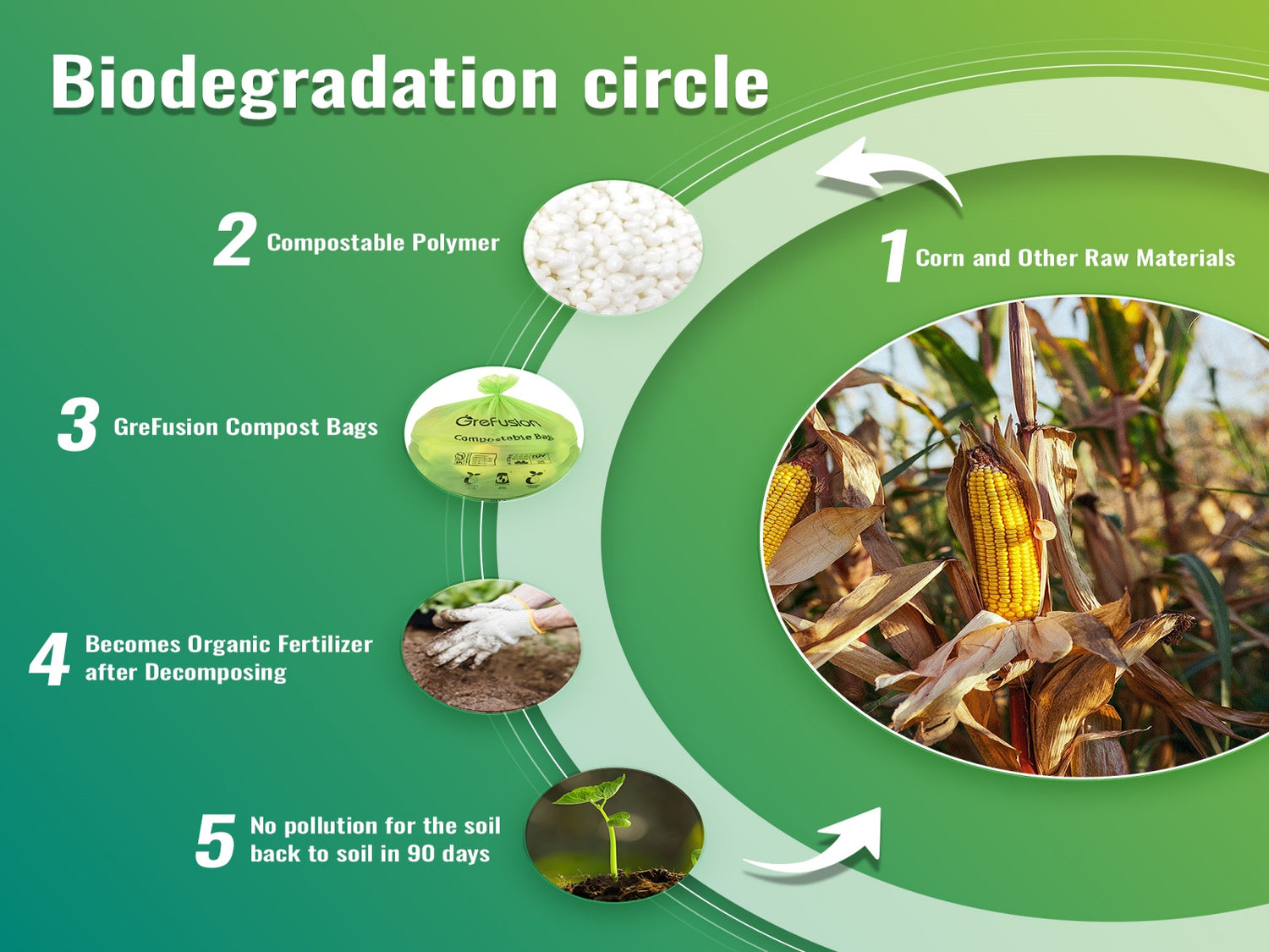 Biodegradation circle