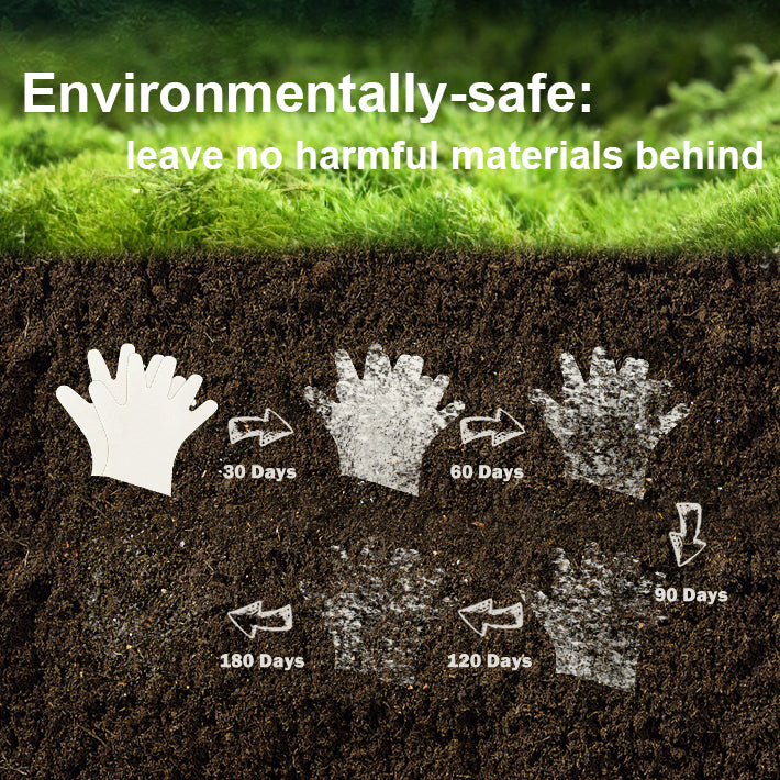 Compostable Disposable Gloves,100 Count(复制)